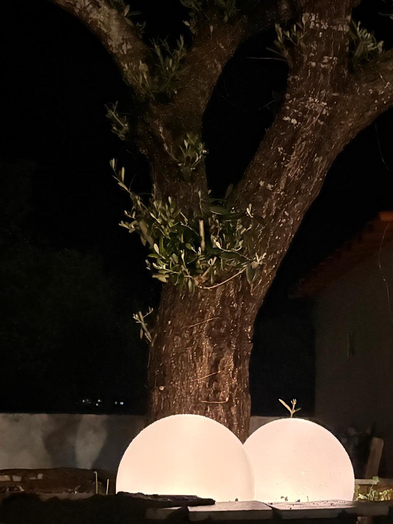 Casa Dos Avos Сasa de vacaciones *